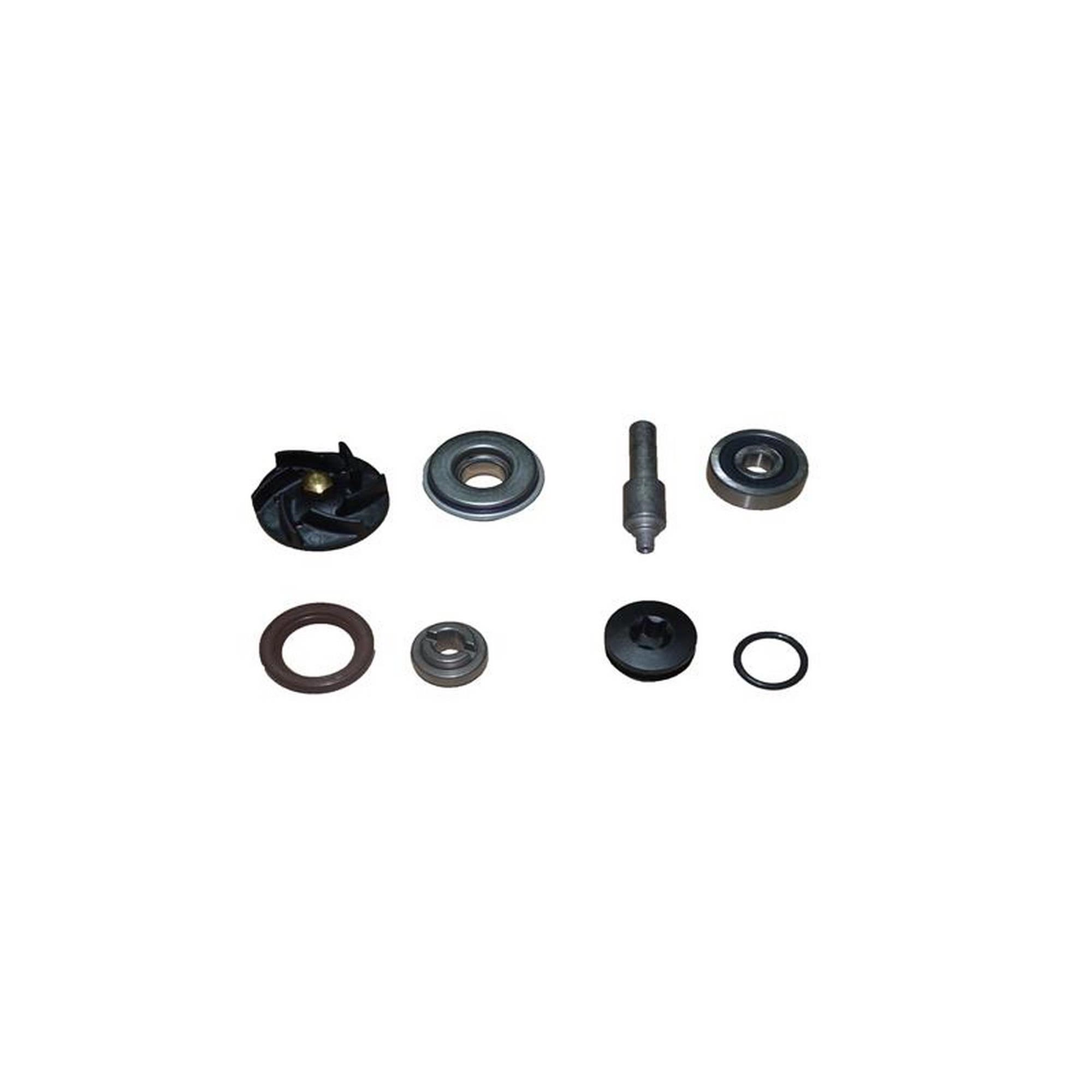 RKS VIESTE 249 DEVİR DAİM POMPASI SET #RK 34843